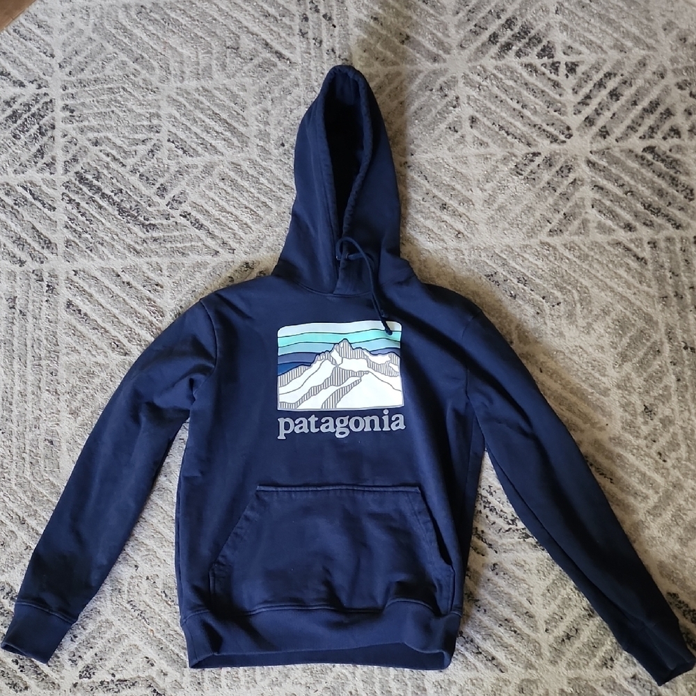 Patagonia Blue Classic Logo Pullover Hoodie Size Small